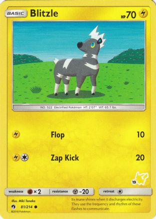 Blitzle (#19 Pikachu Stamped) 081/214 Battle Academy - Promo
