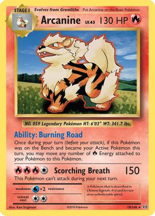 Arcanine 018/108  - Reverse Holofoil XY  Evolutions - Rare