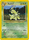 Bayleef (29) (29) 029/111  - Unlimited Neo Genesis - Uncommon