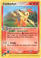 Combusken 028/109  - Reverse Holofoil Ruby and Sapphire - Uncommon